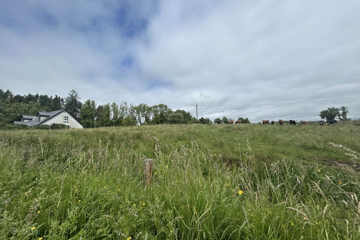 Site, Inisaellaun, Ballynacally, Ennis, Co. Clare, V95P656