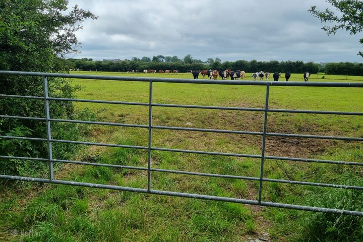 Rathmore North, Meanus, Co. Limerick