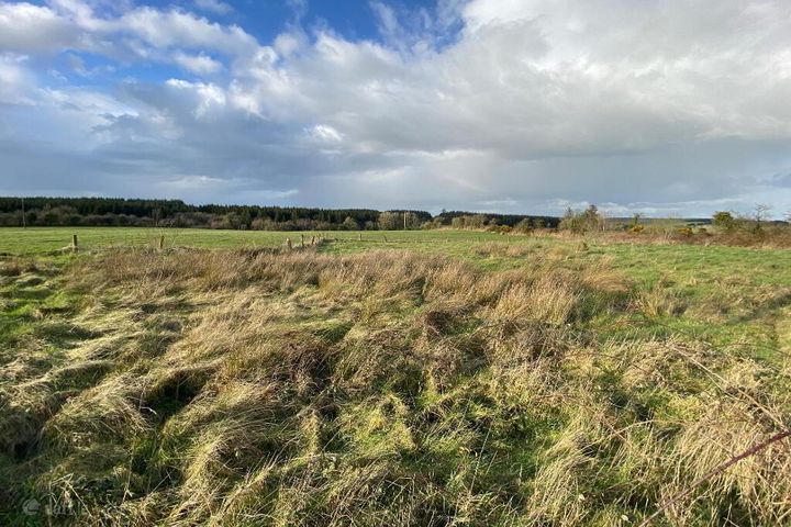 Boolyglas, Hugginstown, Co. Kilkenny