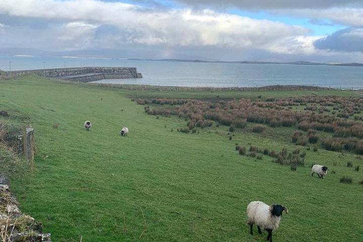 Lecanvey, Westport, Co. Mayo