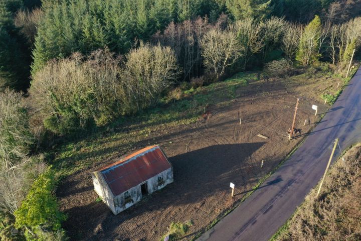 Keelnahulla, P51W5T3