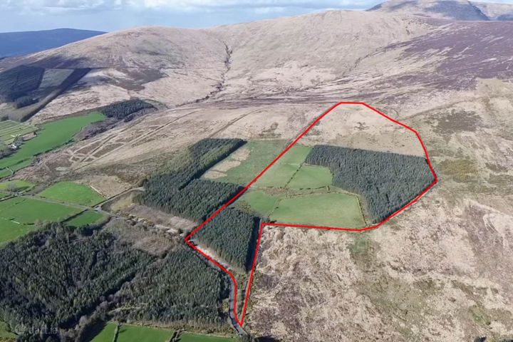 Toorboy (C. 61.8 Acres), Rathdangan, Co. Wicklow