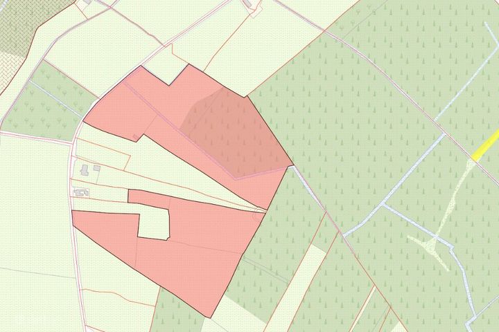 Dromsallagh, Cappamore, Co. Limerick