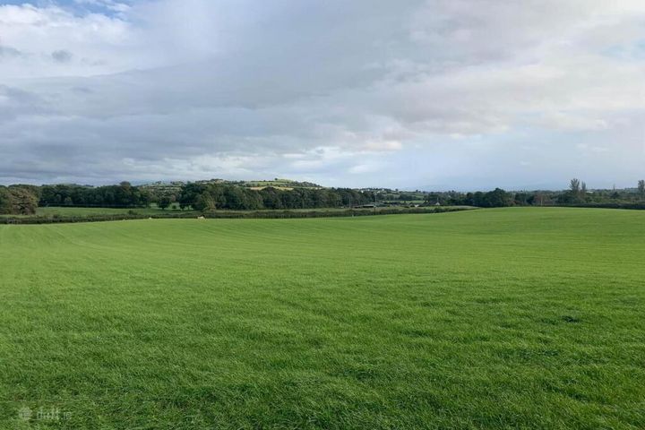 17 Acres, Of New Grass For 1st Cut Cut, Urra, Ballycommon, Co. Tipperary