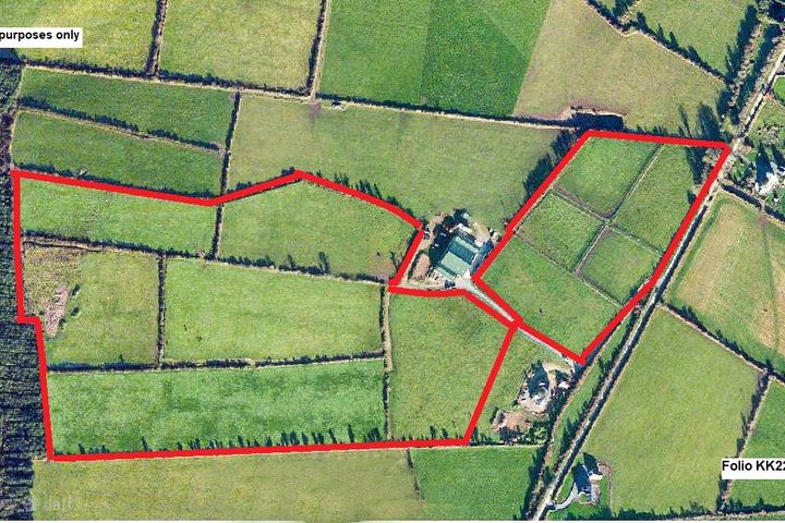 Annshoon Stud, Ballynooney, Mullinavat, Co. Kilkenny