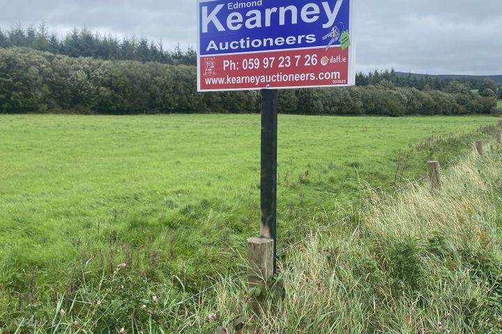 Ballinree, Bagenalstown, Co. Carlow