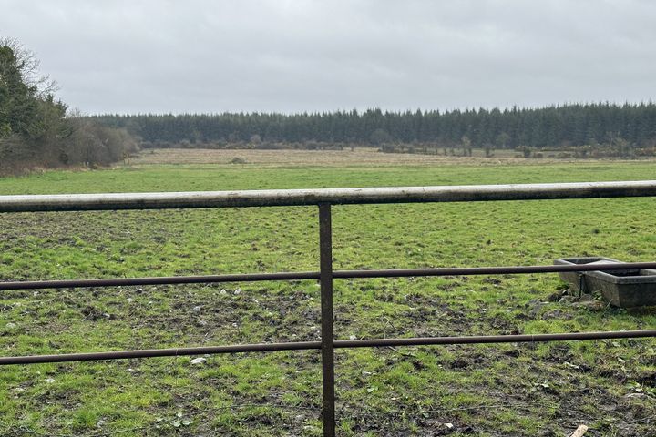 Ballymahon ED , Ballymahon Municipal District , Moydow, Co. Longford