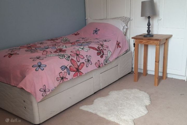 Ballynattin, Graiguenamanagh, Co. Kilkenny