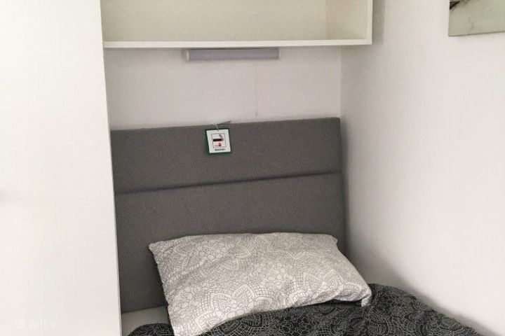 Shanganagh Wood, Shankill, Dublin 18