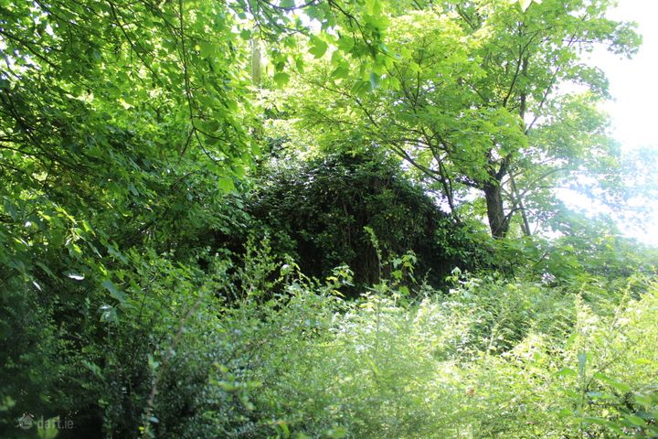 Derelict Cottage On 1 Acre,, Seskinryan,, Bagenalstown,, Co. Carlow