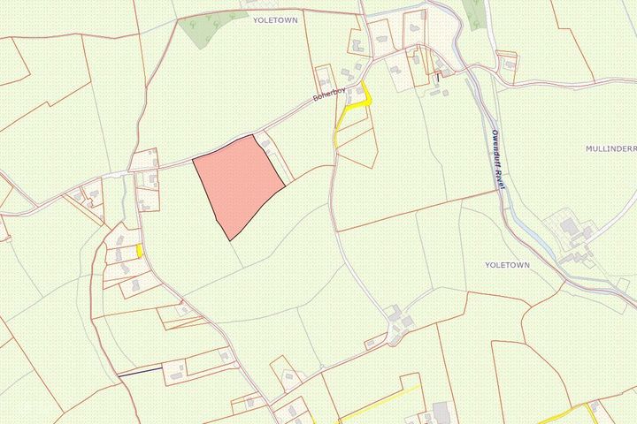 Boher Boy, Yoletown, Ballycullane, Co. Wexford