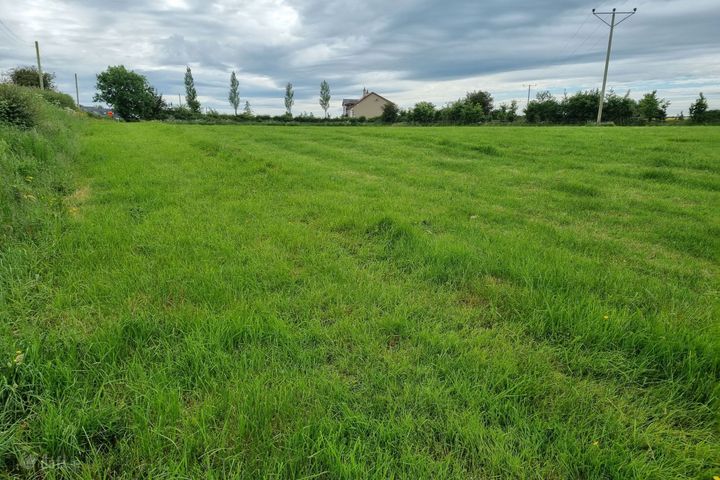 Faha Demesne, Patrickswell, Co. Limerick