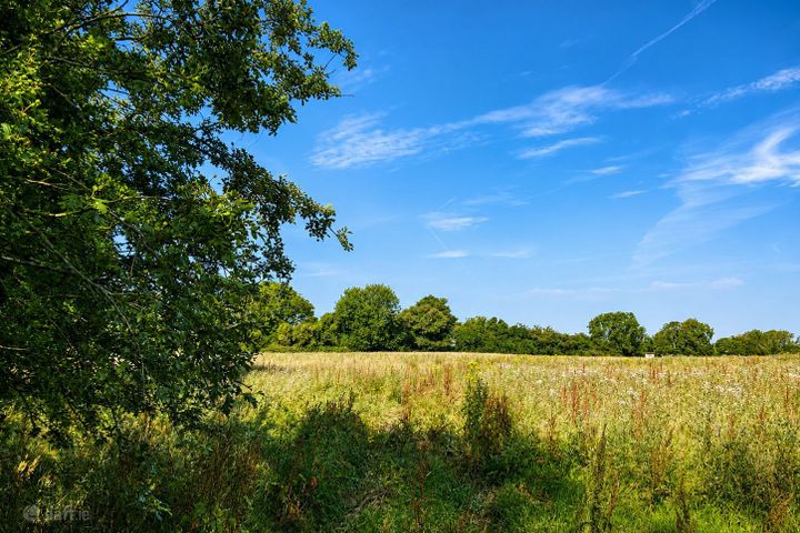 4.5 Acres, Thomastown, Kilcullen, Co. Kildare