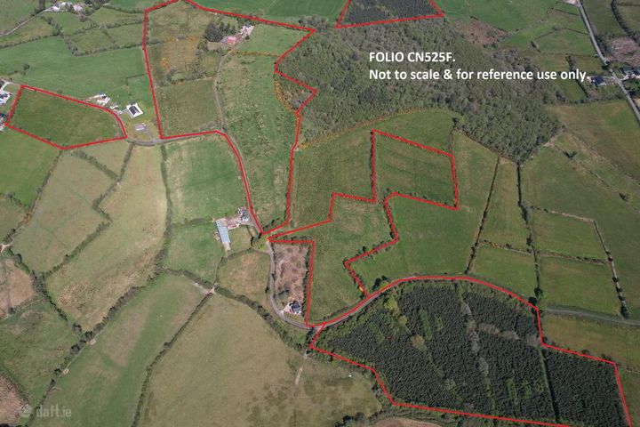 Cornagunleog Td, Bawnboy, Co. Cavan, N41R588