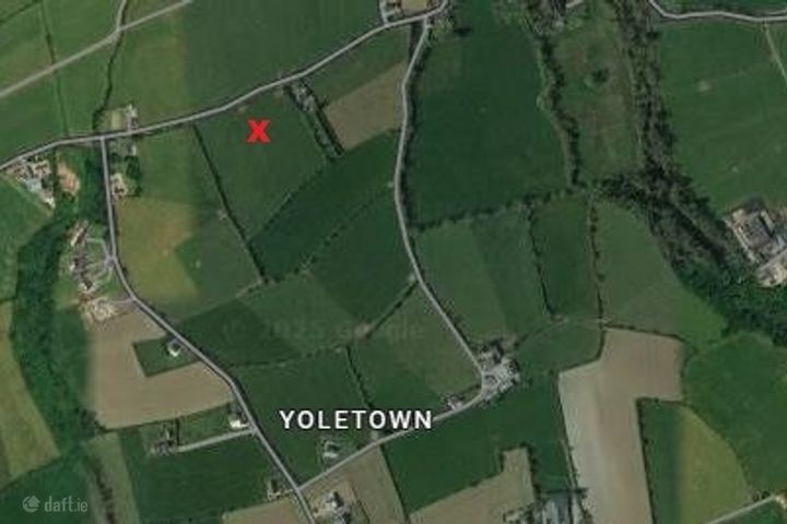 Boher Boy, Yoletown, Ballycullane, Co. Wexford
