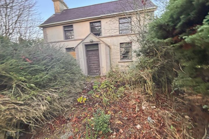 Dunmore Rd, Glenamaddy, Glenamaddy, Co. Galway, F45TE27 - Photo 2