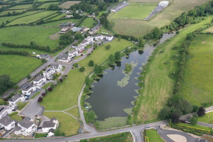 Gill's Pond, Ballinakill, Co. Laois