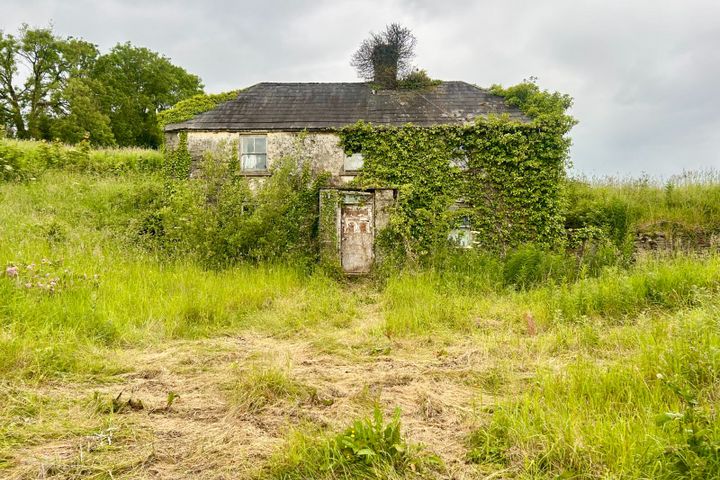 Farrow, Bunbrosna, Co. Westmeath