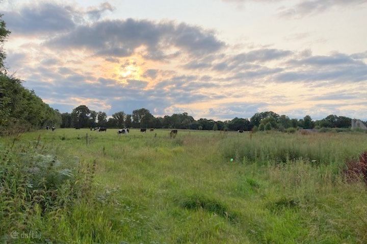 Faddan, Carrig, Birr