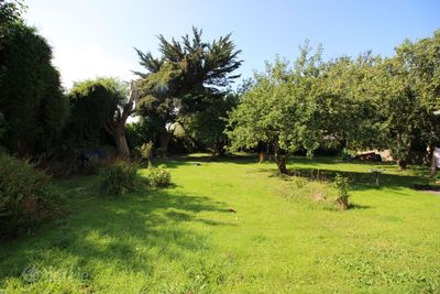 Image - 4