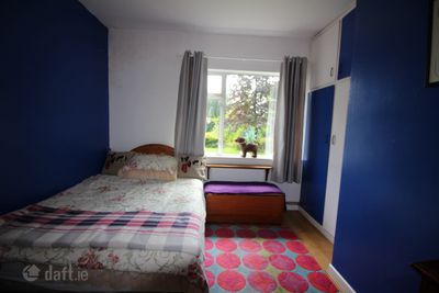 Image - 12