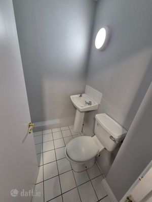 Image - 12
