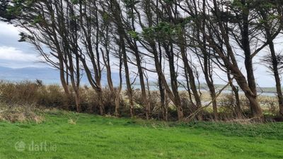 Corby Sands, Emlaghslat, Ventry, Dingle, Co. Kerry
