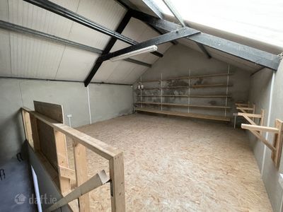 Image - 5