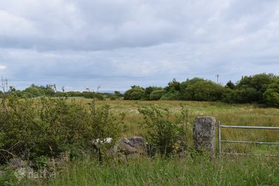 Image - 6