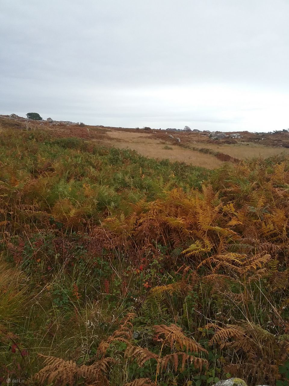 Ballywilliam, Spiddal, Co. Galway - Site For Sale