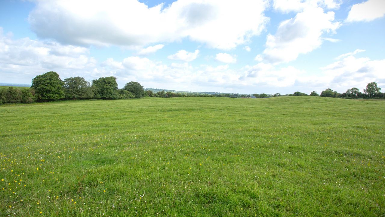 Slanemore, Mullingar, Co. Westmeath