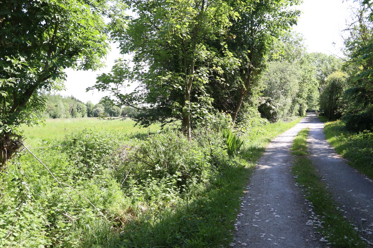 Calfstown, Carbury, Co. Kildare
