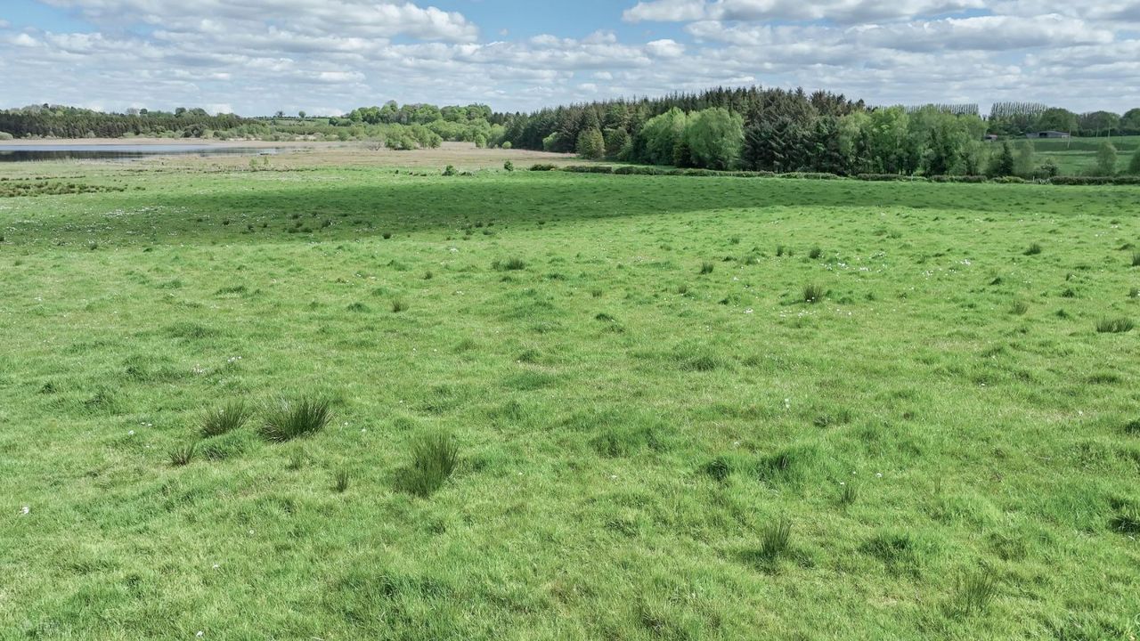 Culleen Beg, Mullingar, Co. Westmeath