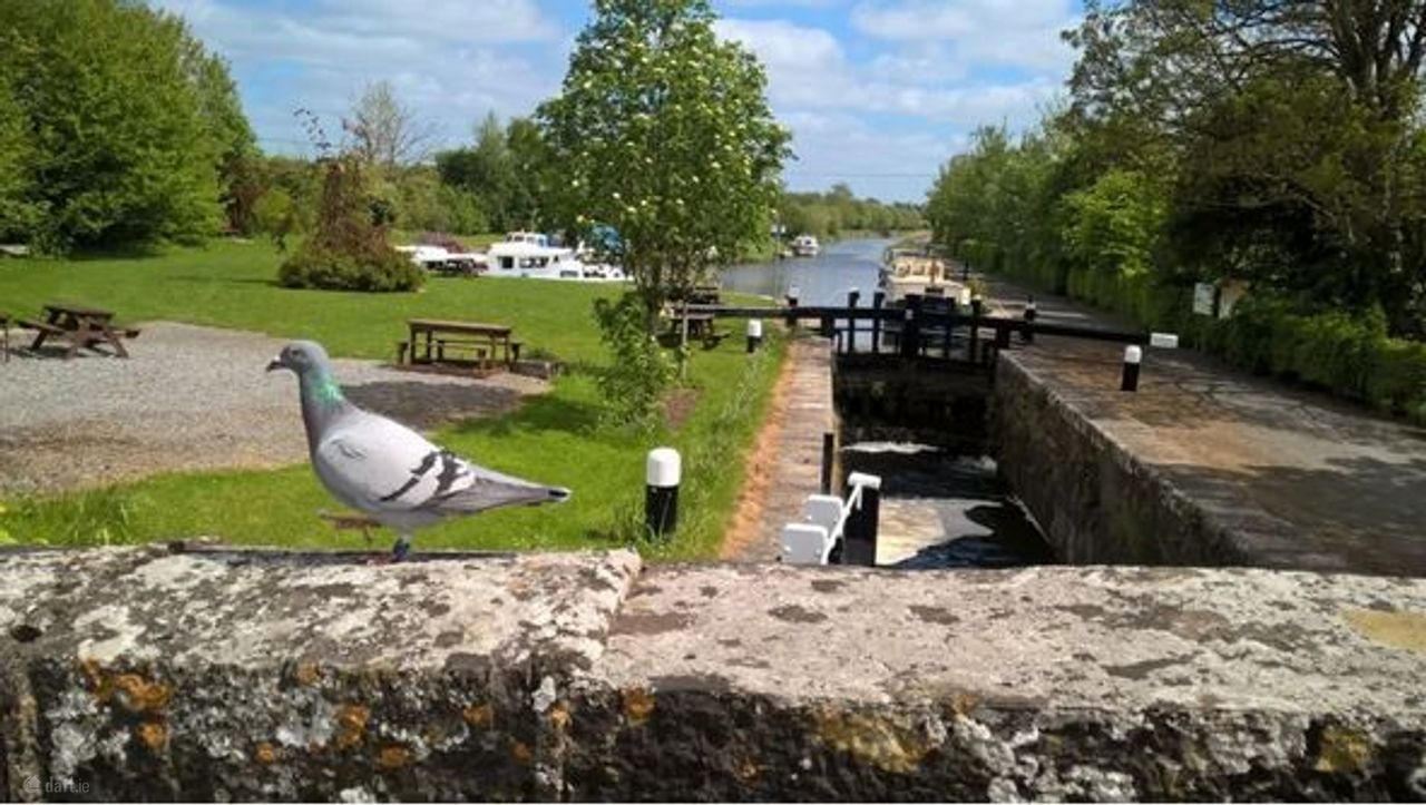 Altan, Coolnahay, Slanemore, Monroe, Co. Westmeath