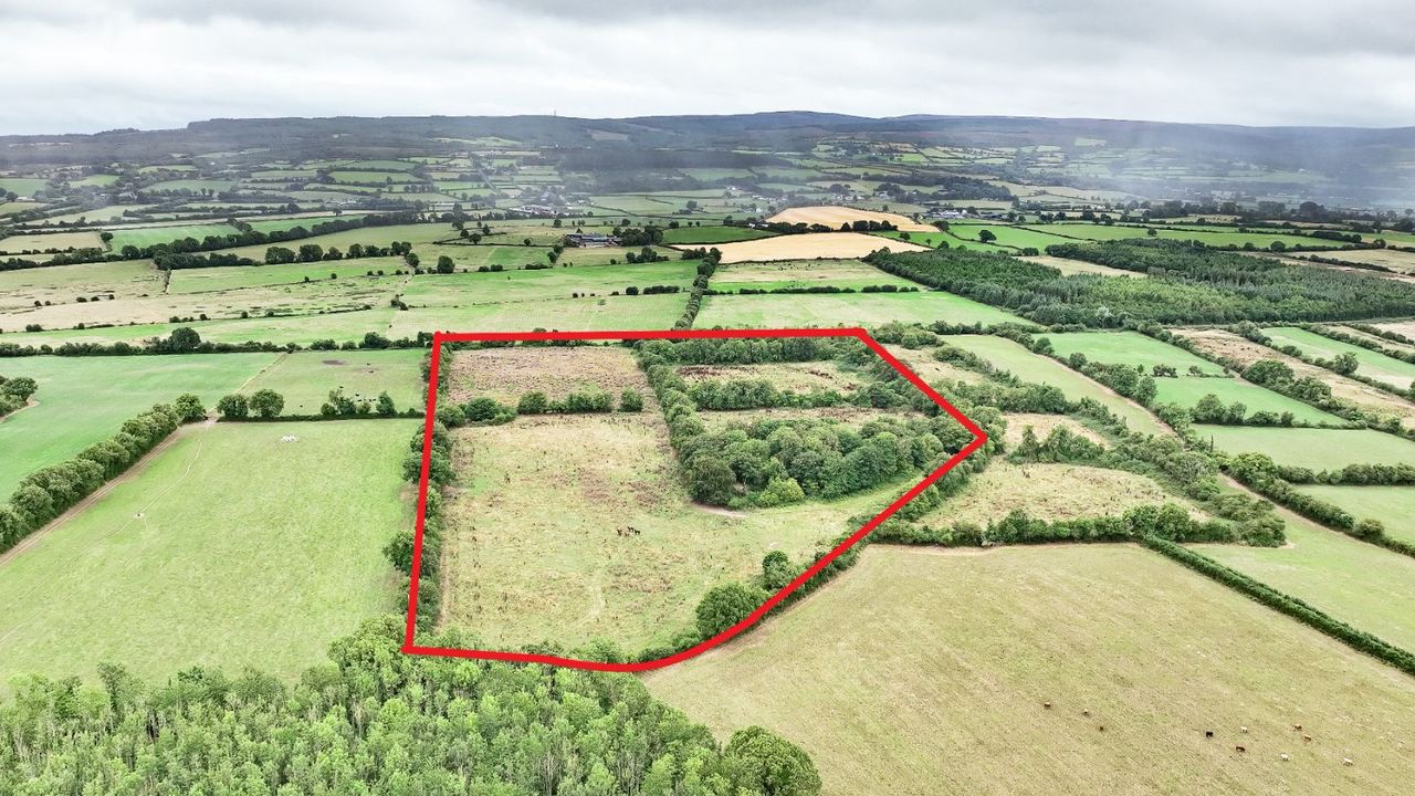 Drummond, Rosenallis, Co. Laois