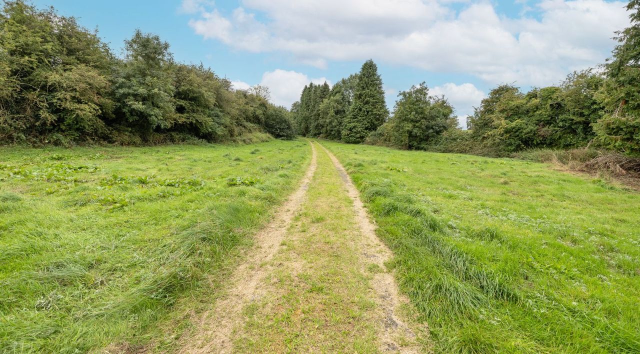 Baltrasna, Mullingar, Co. Westmeath