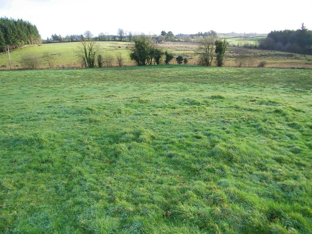 Tully, Loughglynn, Castlerea, Co. Roscommon - 