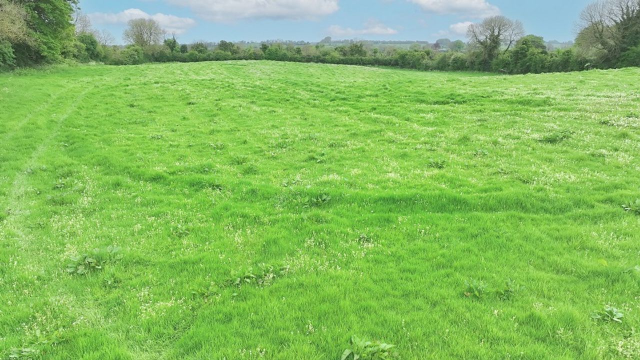 Porterstown, Killucan, Co. Westmeath