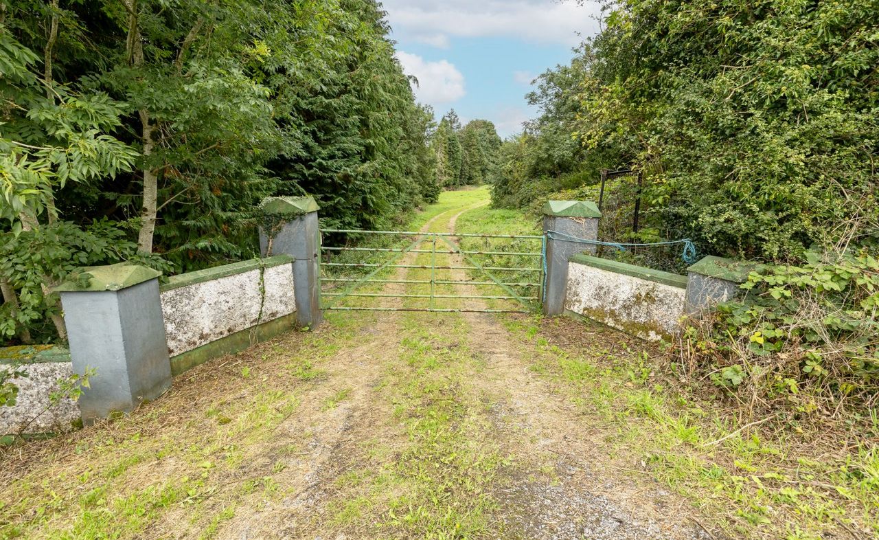 Baltrasna, Mullingar, Co. Westmeath