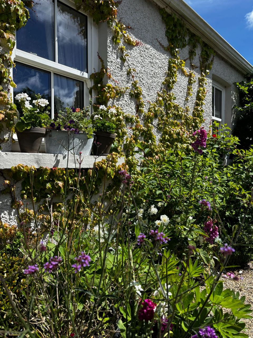 Castlelost, Rochfortbridge, Co. Westmeath