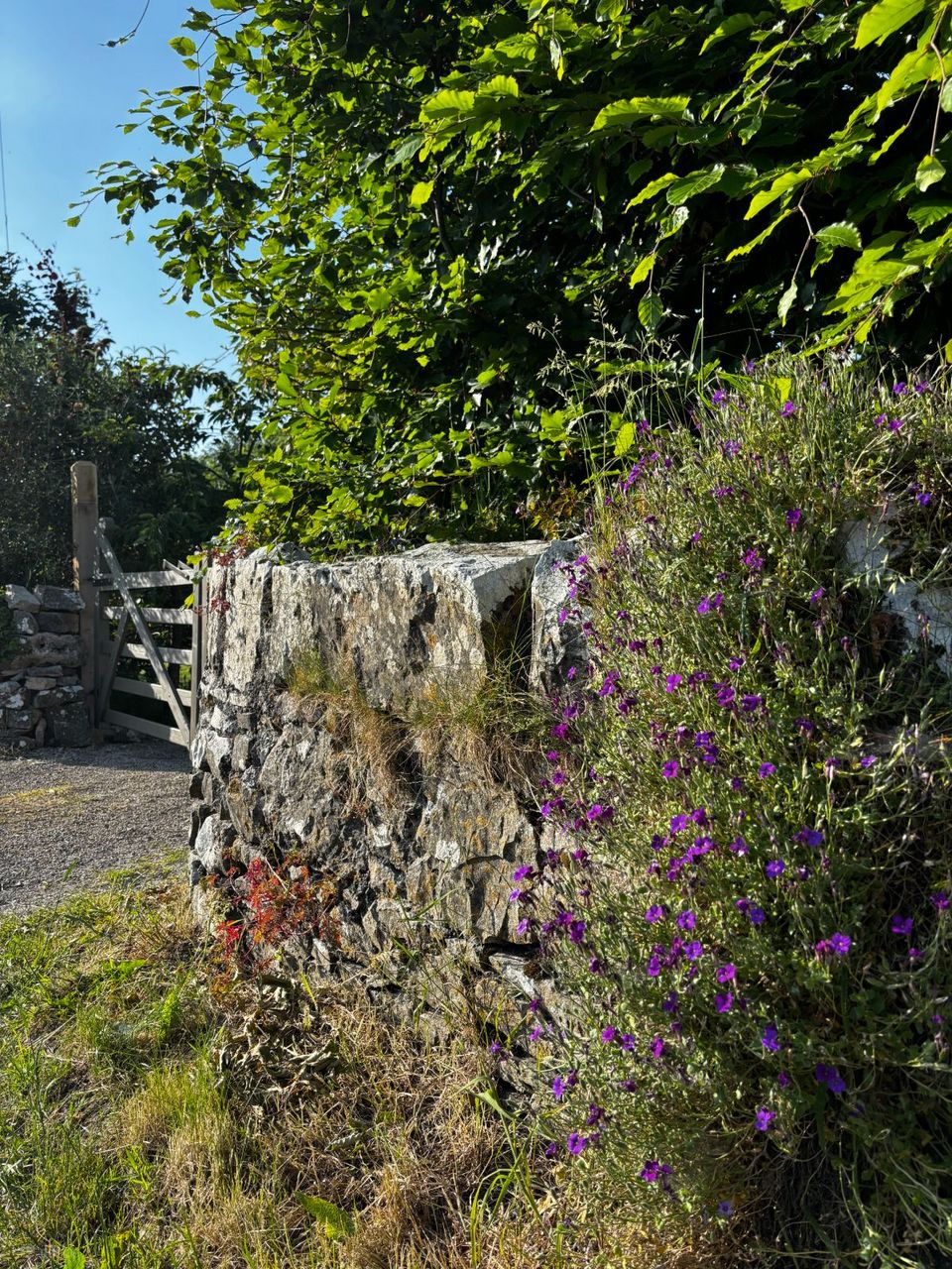 Castlelost, Rochfortbridge, Co. Westmeath