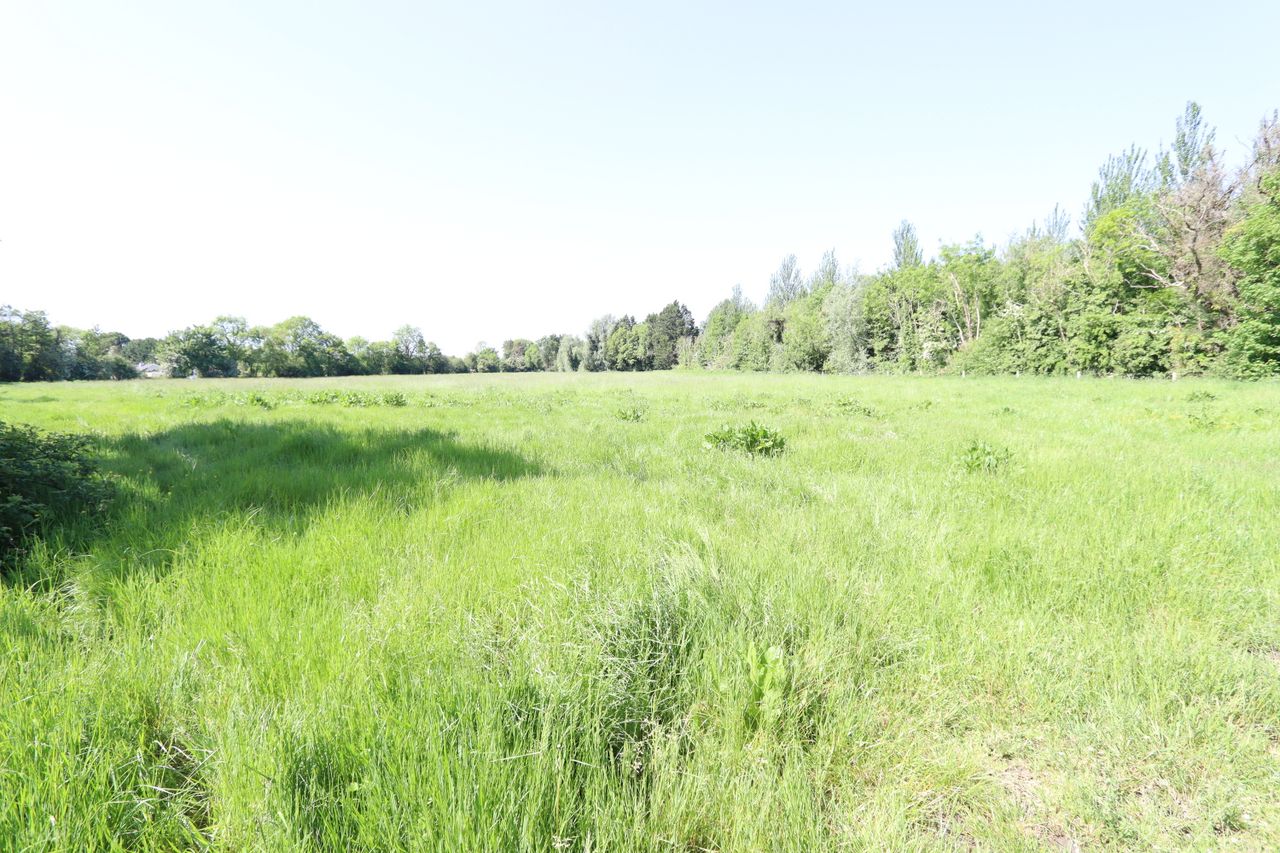 Calfstown, Carbury, Co. Kildare