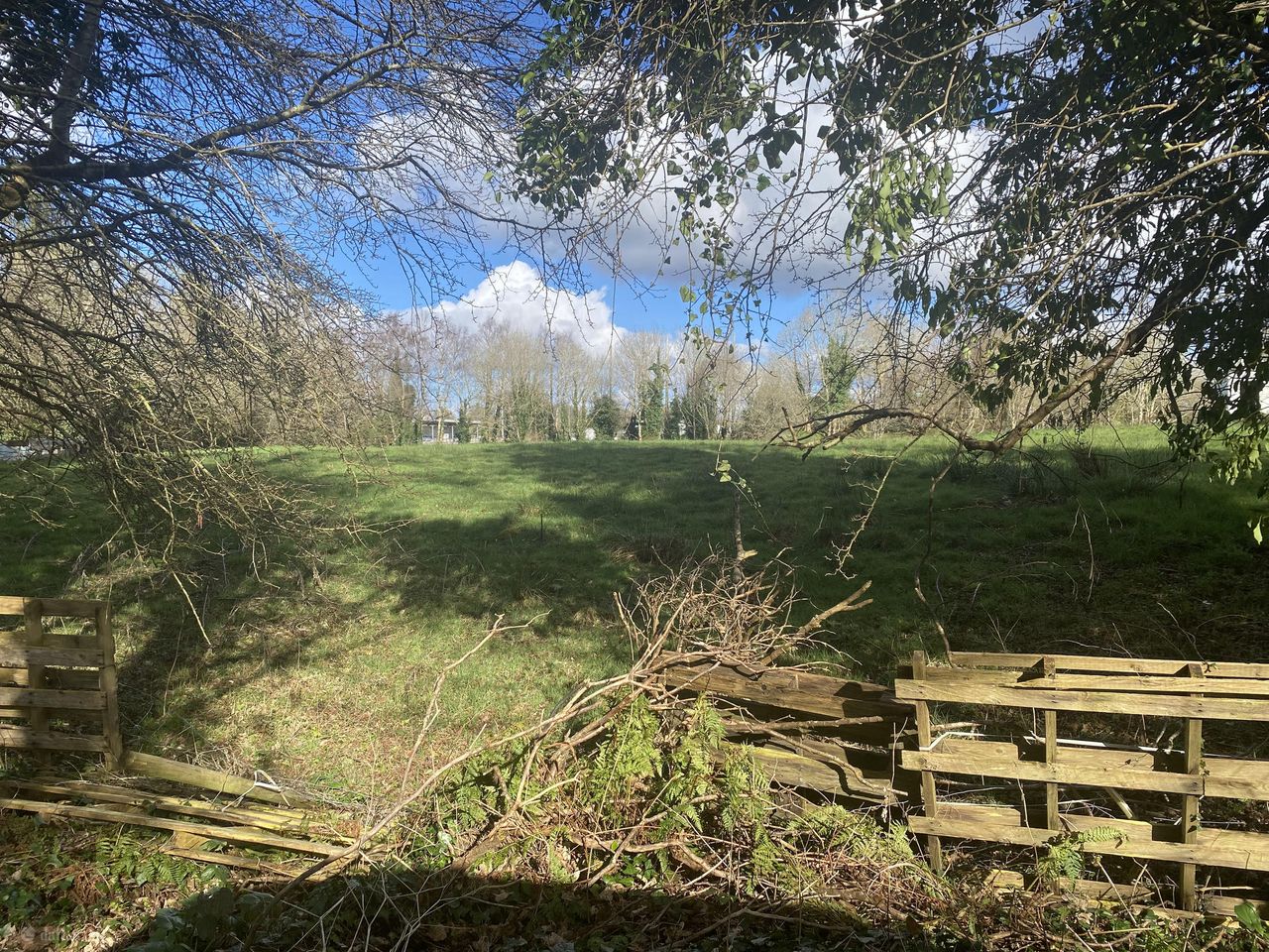 castlebar, Islandeady, Co. Mayo