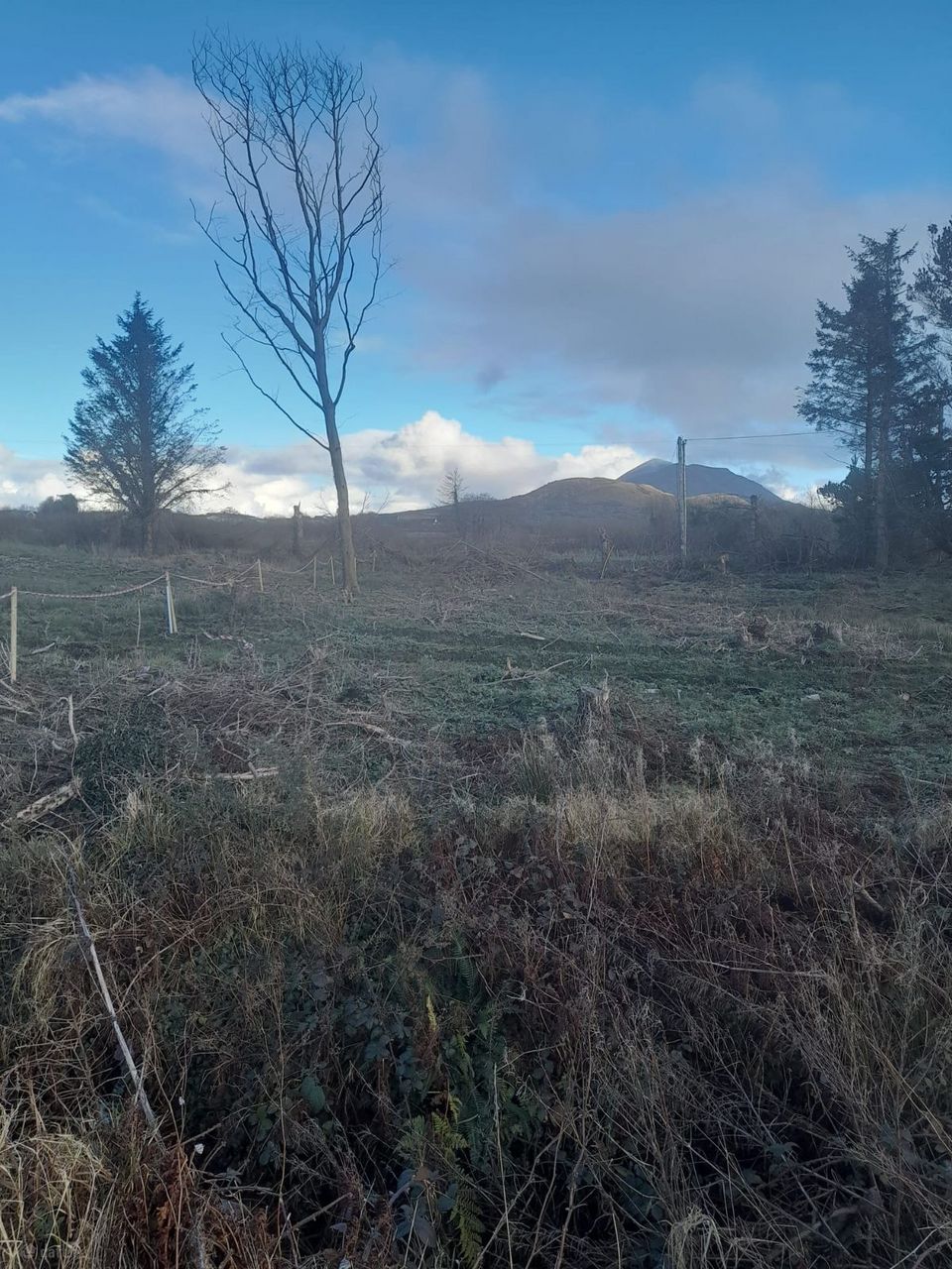 Moneen, Louisburgh, Co. Mayo
