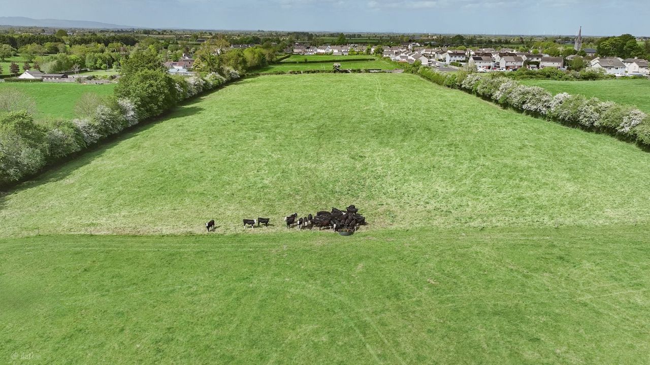 Ballybeg, Littleton, Co. Tipperary