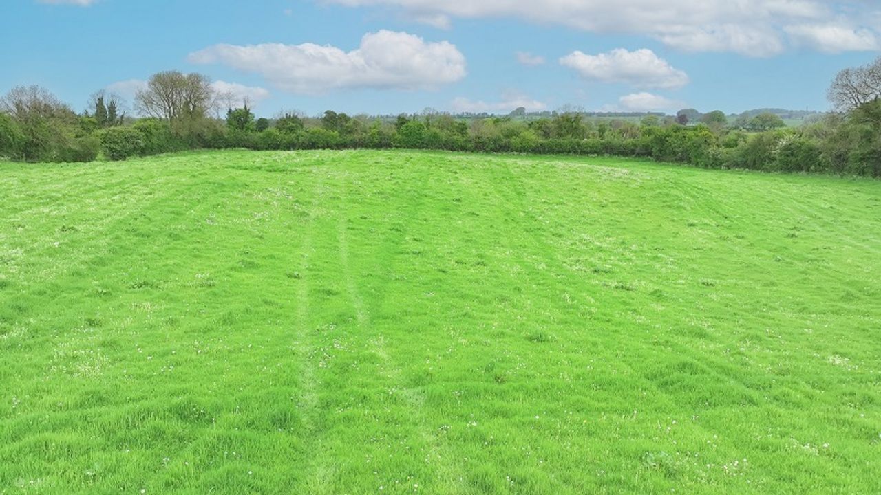 Porterstown, Killucan, Co. Westmeath