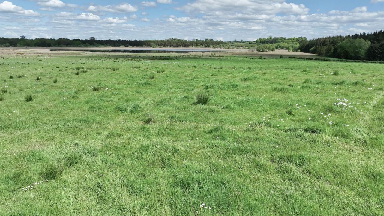 Culleen Beg, Mullingar, Co. Westmeath