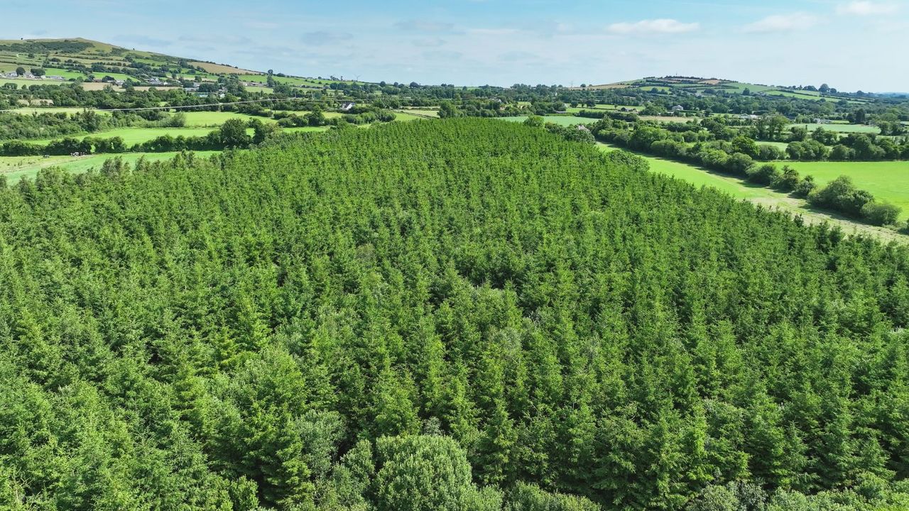 Croghan, Rhode, Co. Offaly