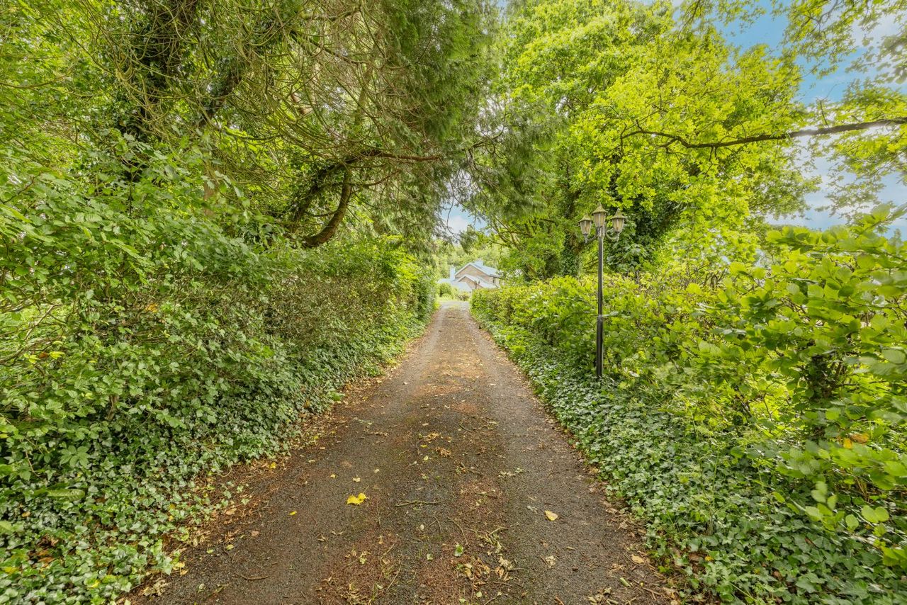 Moate Road, Ballymore, Co. Westmeath