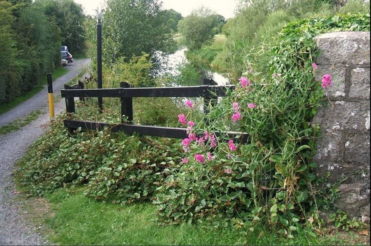 Altan, Coolnahay, Slanemore, Monroe, Co. Westmeath